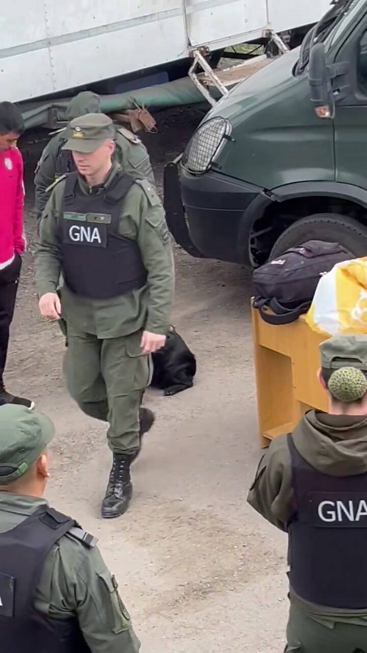 Canina Jelinek, la perra que se hizo viral