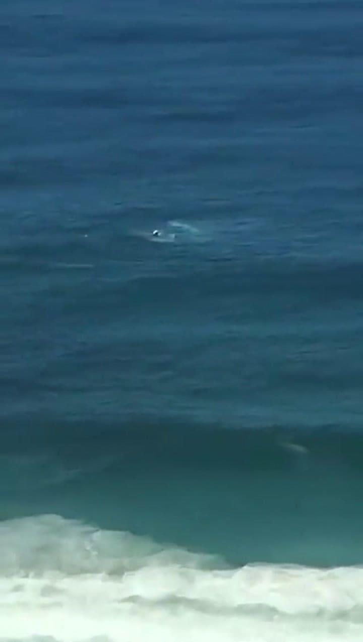 Esta es la zona donde cayó el helicóptero en Río de Janeiro - Fuente: Twitter @luccaspeace