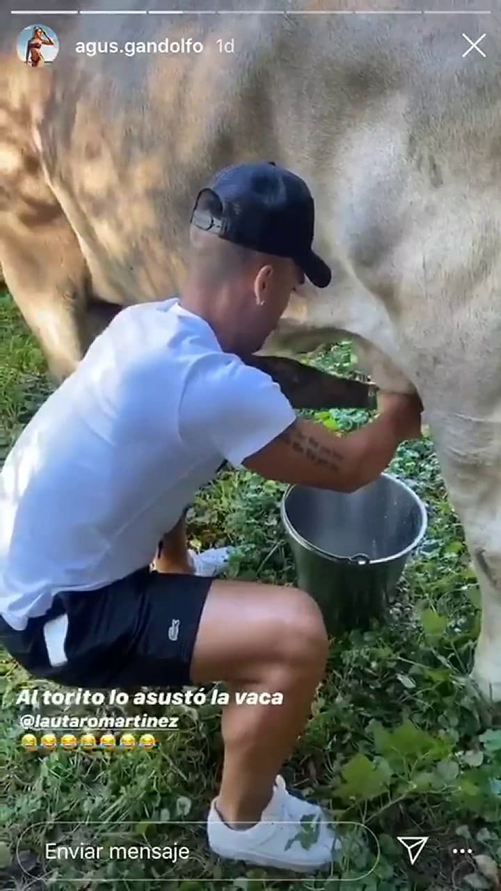 El susto de Lautaro Martínez cuando ordeñaba una vaca