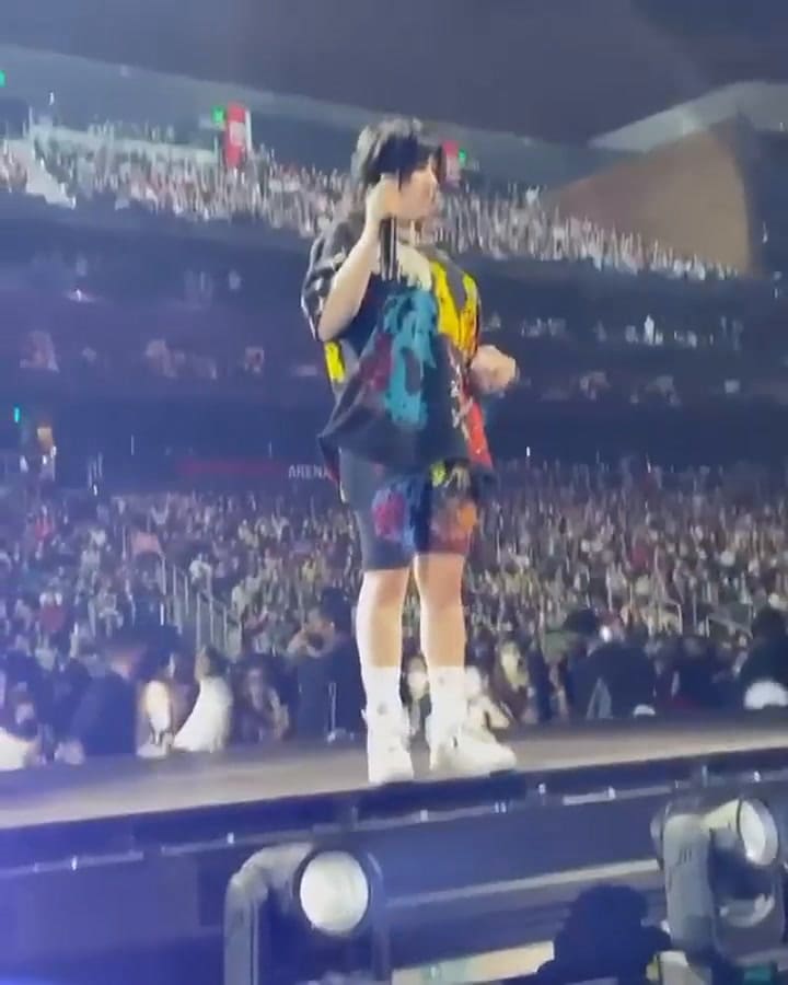 Billie Eilish detuvo su recital para ayudar a socorrer a un fan