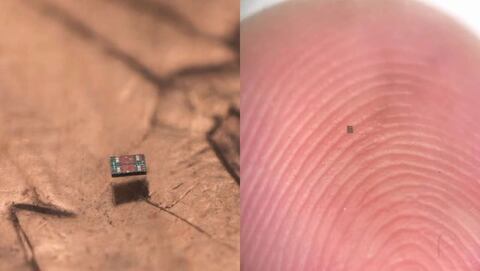 Revolución microscópica: el robot autónomo más pequeño del mundo, del tamaño de un grano de sal
