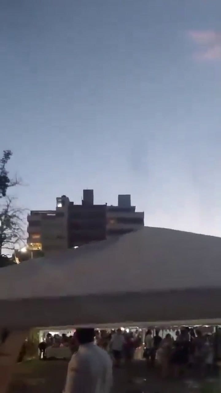 Nube de mosquitos en La Plata