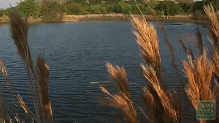 Enchanted Rock State Natural Area, Texas
