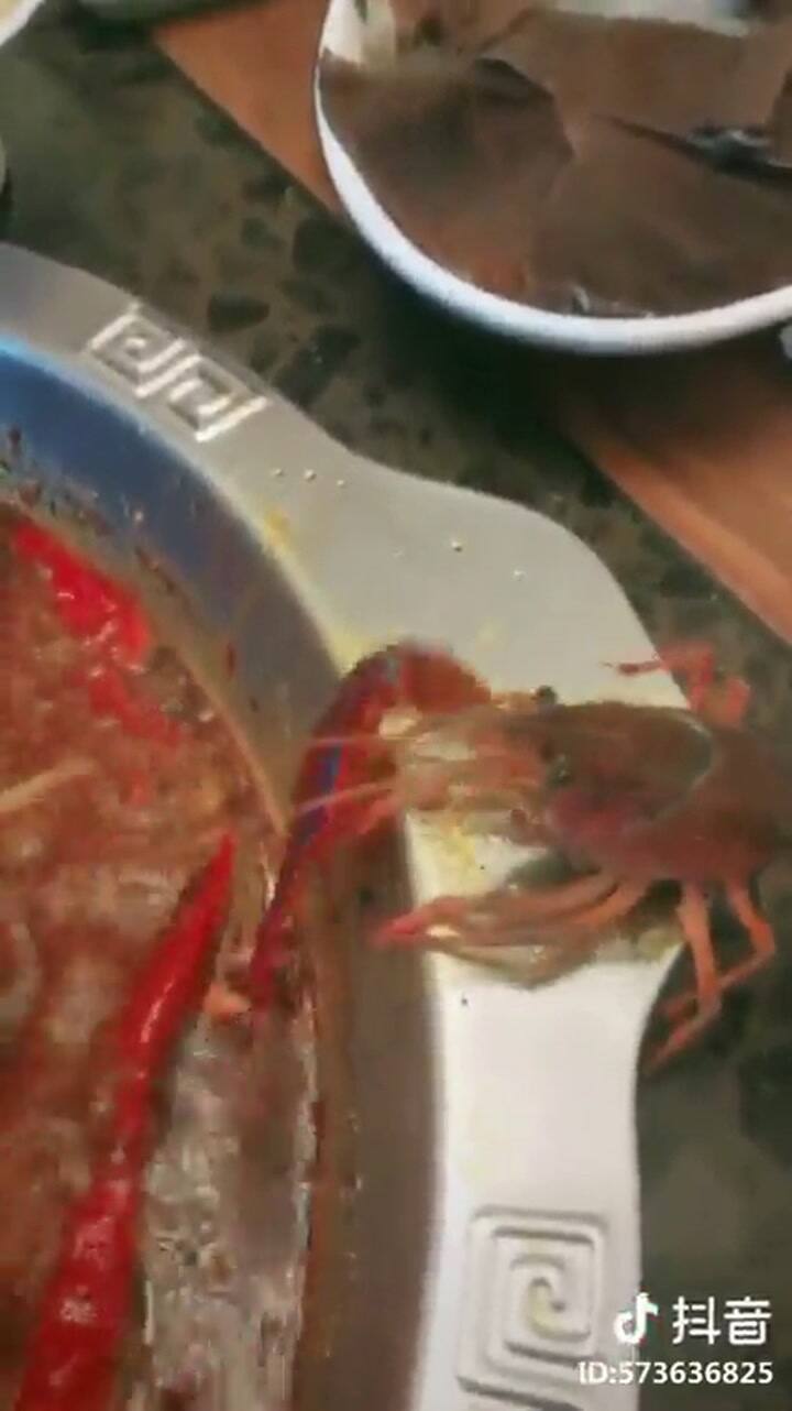Un cangrejo se amputa una pinza para no ser cocinado - Fuente: Facebook