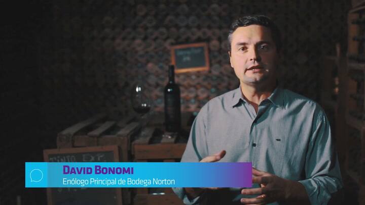 David Bonomi, enólogo principal de Bodega Norton