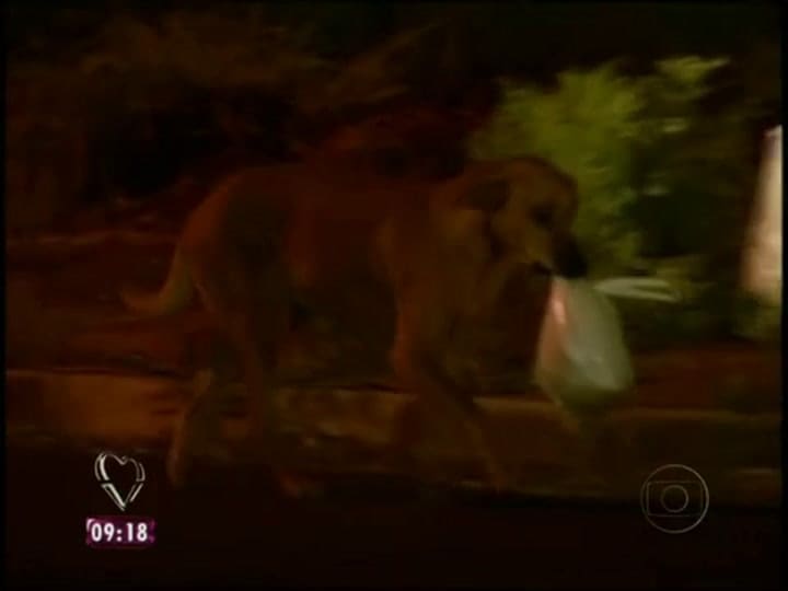 Lilica conmovió a todos con su historia