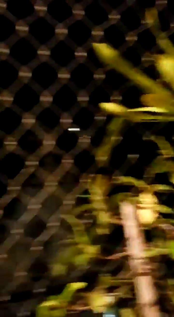 Georgina Barbarossa compartió un video caceroleando - Fuente: Twitter