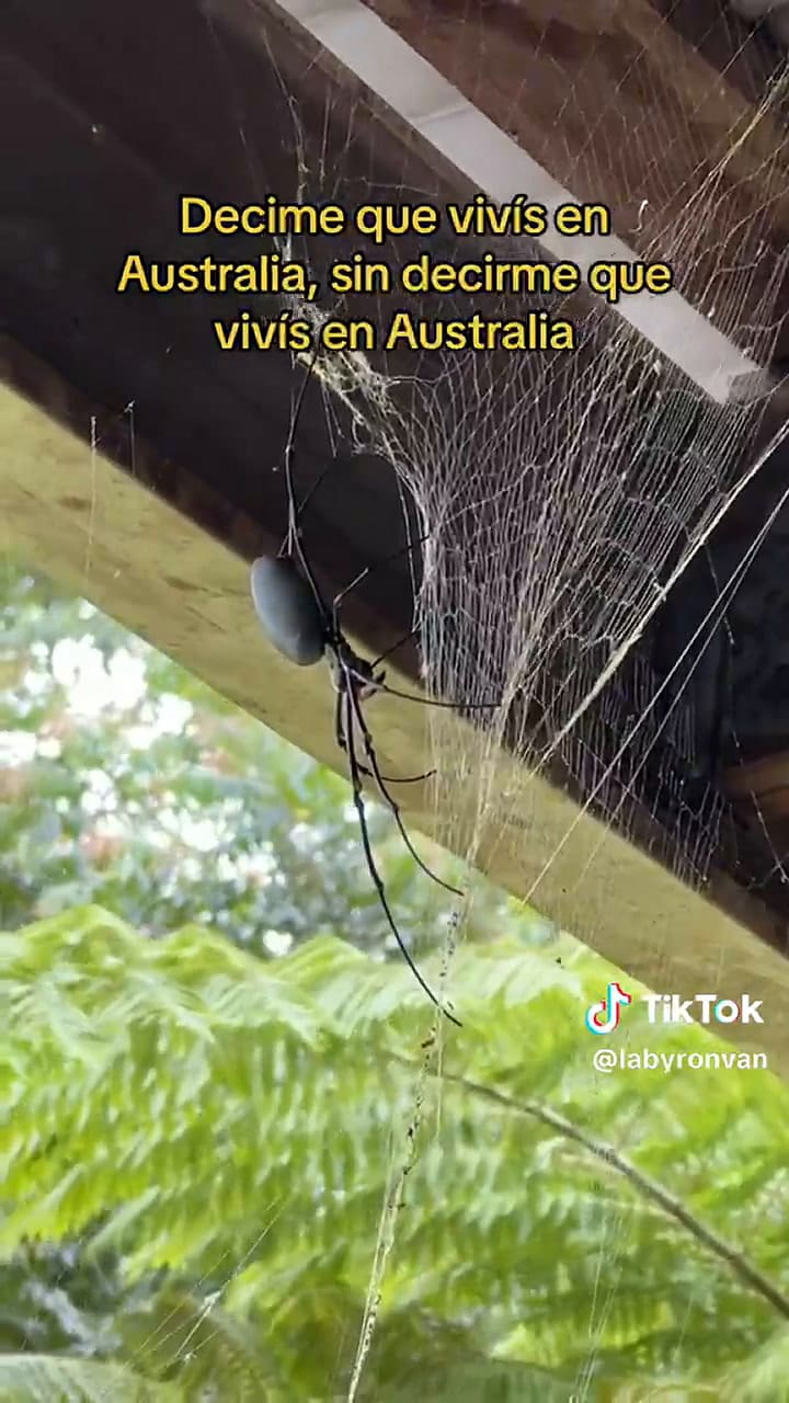 Mostraron el lado B de vivir en Australia y se viralizaron