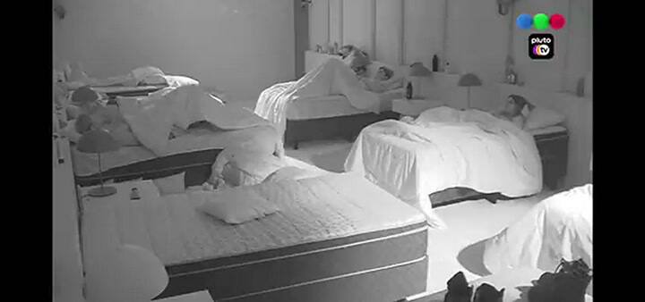 Tras el accidente del perrito, los participantes de Gran Hermano no pueden hablar sobre lo sucedido