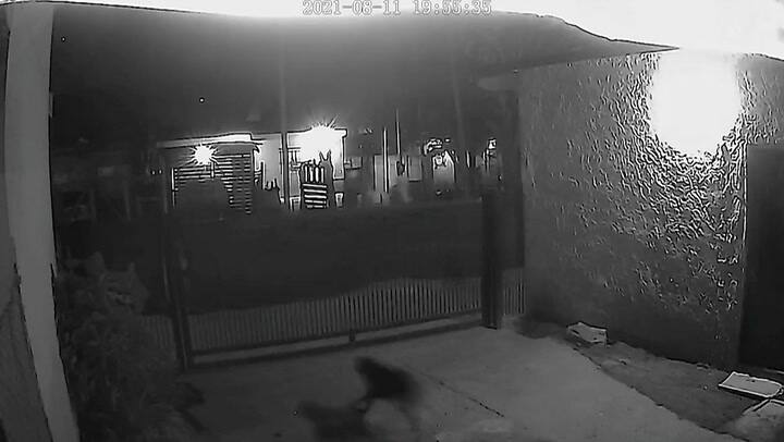 Tres muertos y dos heridos en un tiroteo por una guerra narco en Florencio Varela