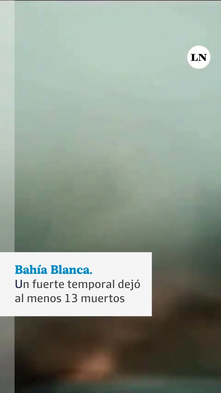 Bahía Blanca. Un Fuerte Temporal Dejó Al Menos 13 Muertos, Múltiples Heridos Y Destrozos En La Ciudad La Tormenta Interrumpió El Suministro Eléctrico Y Provocó La Caída De Grandes áRboles, Postes, Cables, Voladura