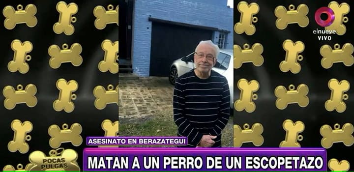 Las imágenes que se difundieron del momento, y foto del perrito - Fuente: Canal 9