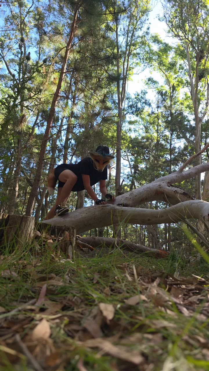 La imitación de aspectos animales puede tener consecuencias en la salud