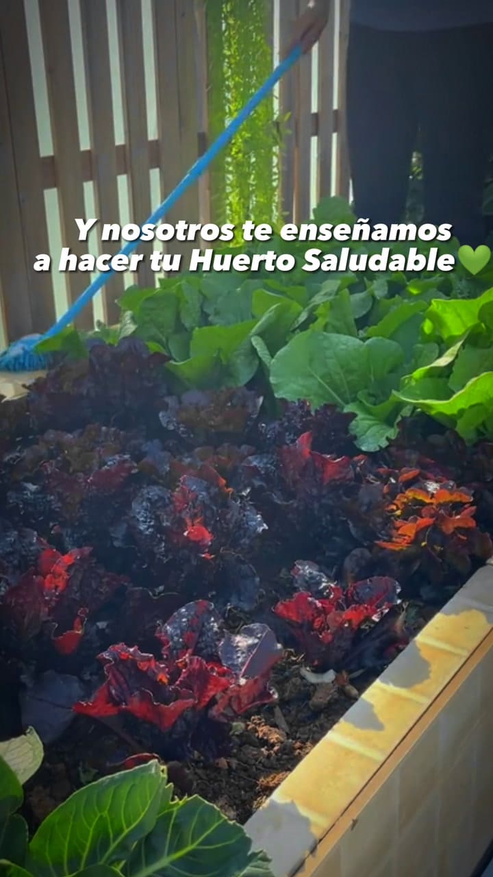 ⚠️ Lee Mas Aquí ⬇️