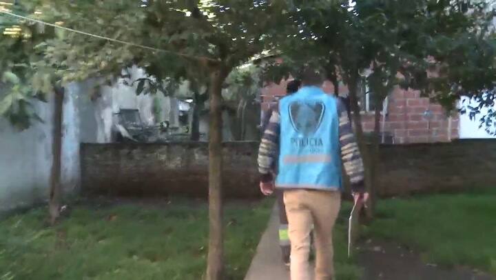 Desbaratan una red de caza furtiva de aves