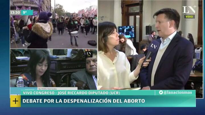 Debate por el aborto: José Ricciardo anunció que se abstendrá