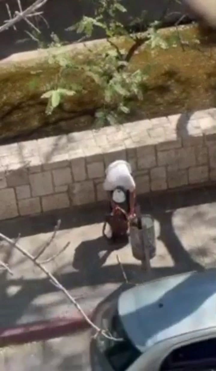 Córdoba: un limpiavidrios recibió una brutal golpiza por parte de dos hombres y quedó inconsciente