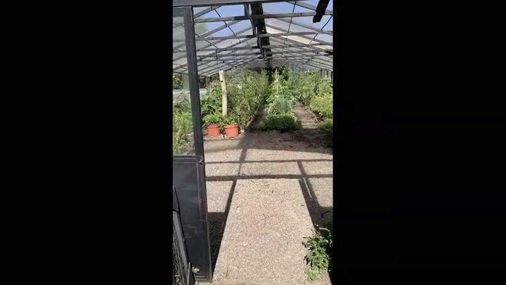 Emprendimientos productivos - Avataras Meliquina