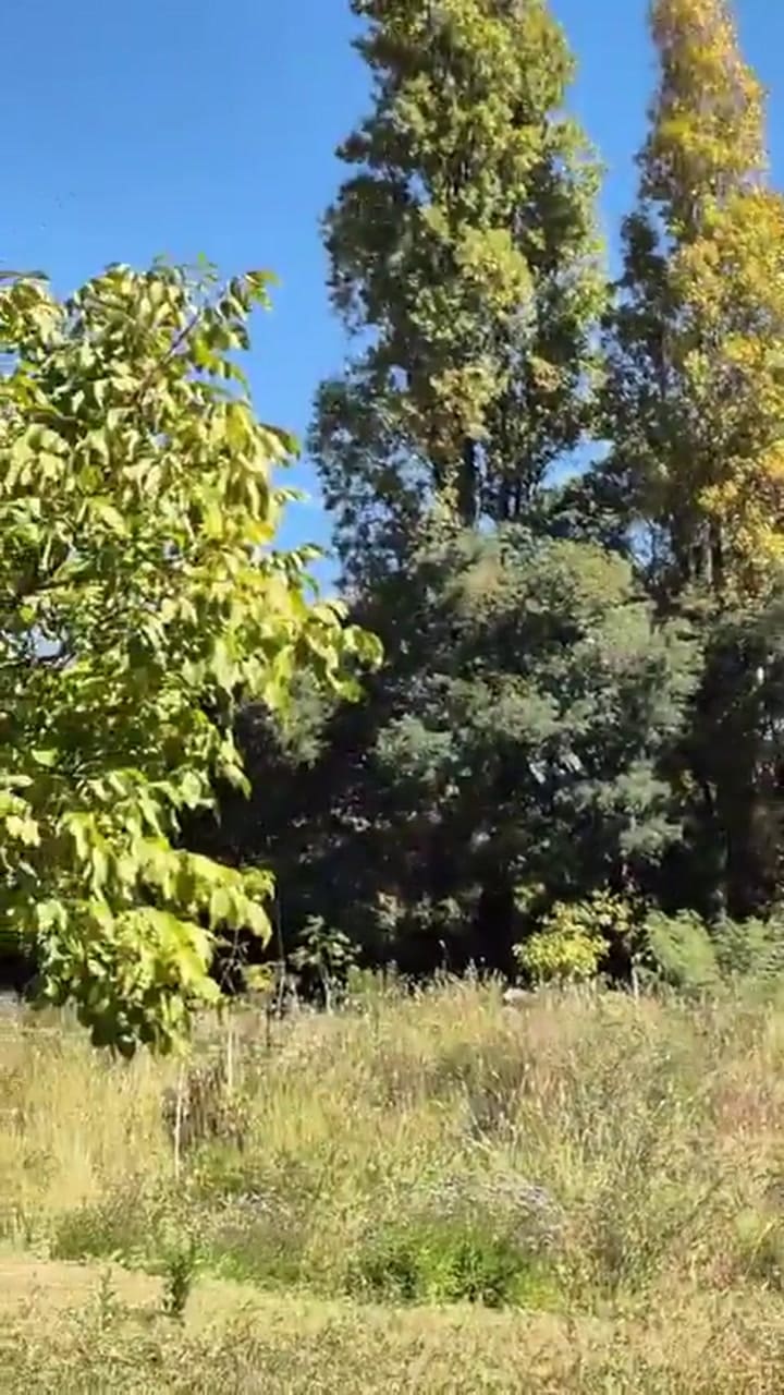 El balance del sismo que sacudió a La Rioja: derrumbes de casas, grietas en el suelo y temor entre los vecinos