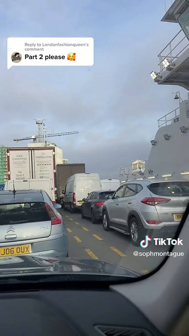 Una joven se confundió y terminó arriba de un ferry (parte II)