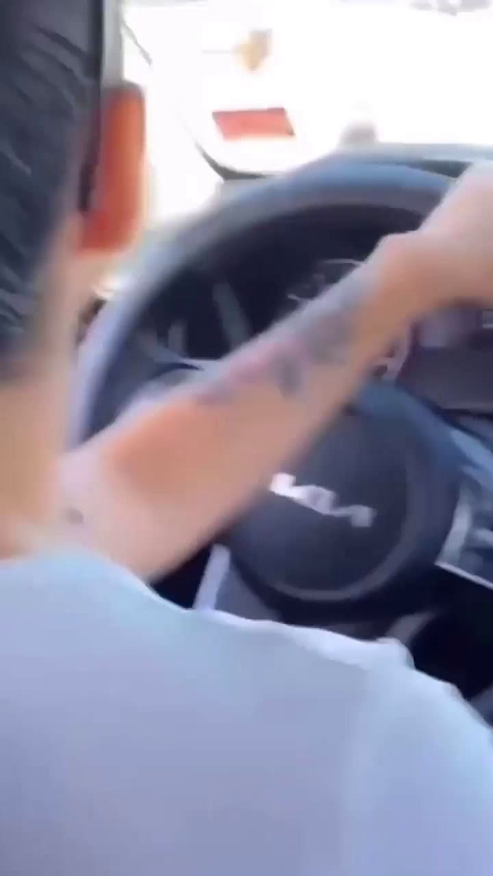 Chile: un turista argentino sufrió un robo, persiguió al ladrón con ayuda de vecinos y lo detuvieron a fierrazos