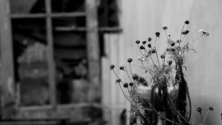 Acorazado Potemkin: 'La mitad' - Fuente: Youtube