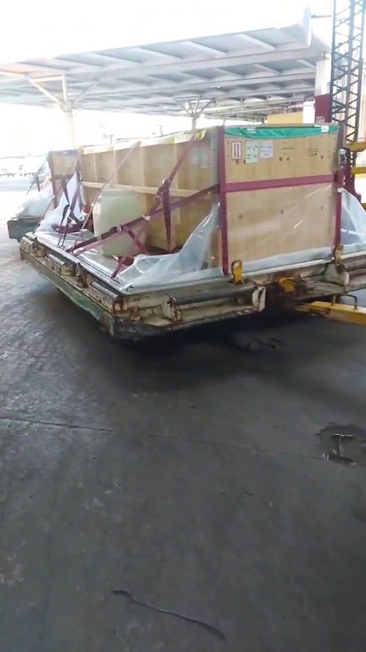 Así fue el traslado de los delfines que estaba en Aquarium Mar del Plata hasta Egipto. Gentileza: Aquarium.mp4