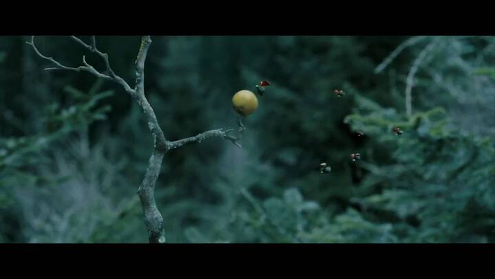 Trailer de Minuscule 2: Les Mandibules du bout du monde - Fuente: YouTube