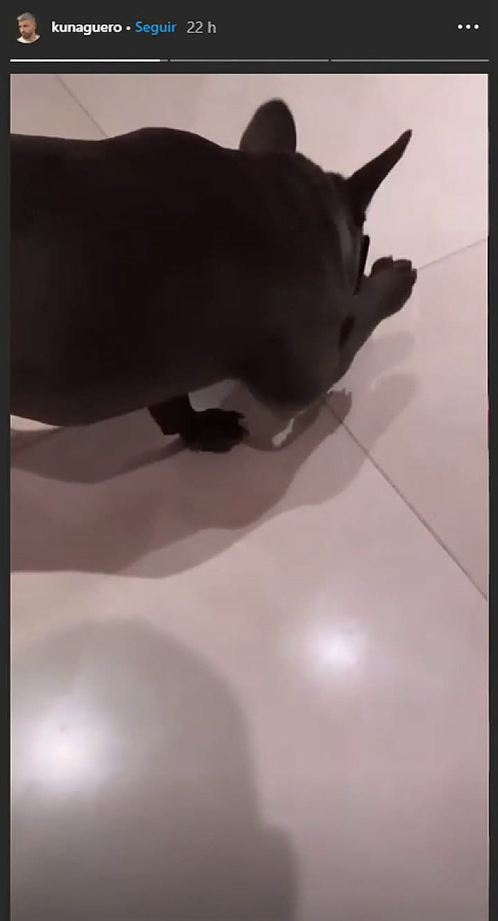 La broma 'maldita' del Kun Agüero a su perro con el barbijo - Fuente: IG Stories