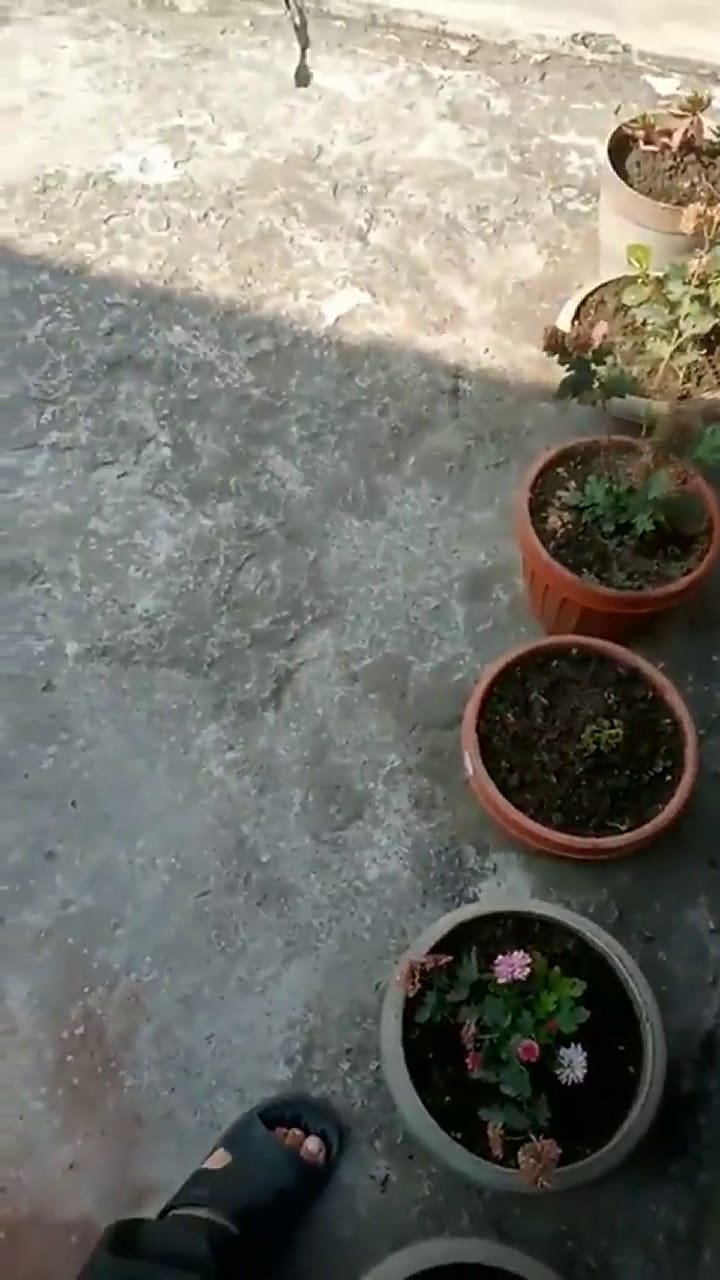 El momento en que cae el avión en Nepal