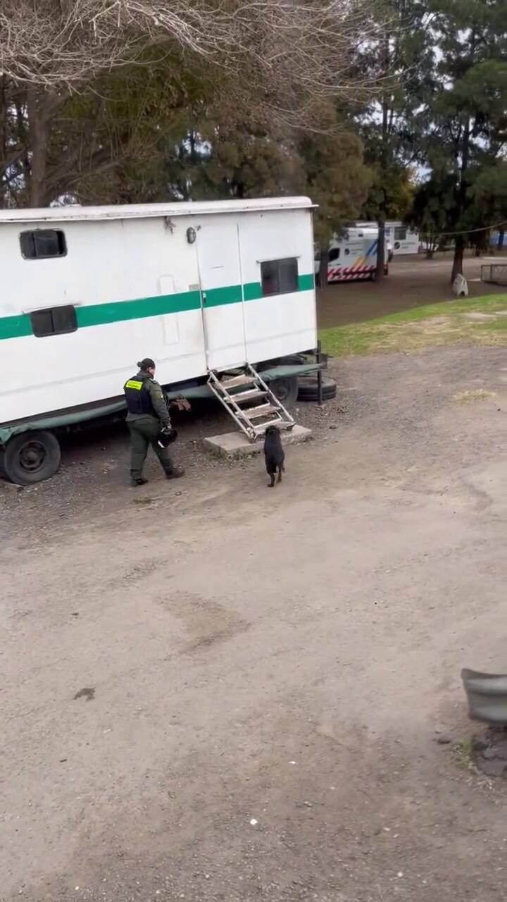 Video de Canina Jelinek