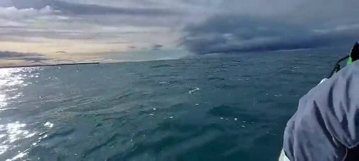 Estaban realizando un curso de timonel en un gomón y los sorprendió una inesperada visitante