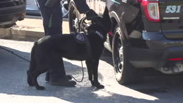 Cinco muertos en tiroteo en diario estadounidense - Fuente: AFP