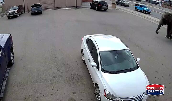 Gg33groemolji1wdabkpqqhktk8obmdjaaaf