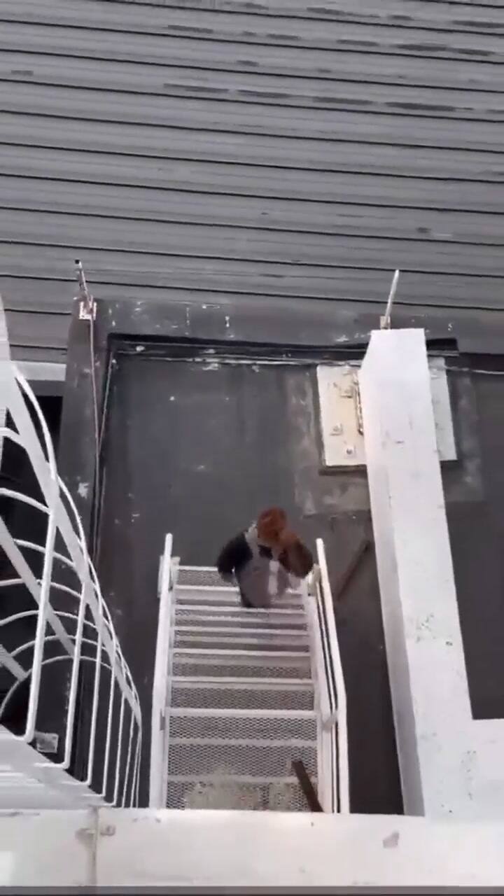 La mujer que se subió a la torre de control de aeroparque fue detenida por la PSA