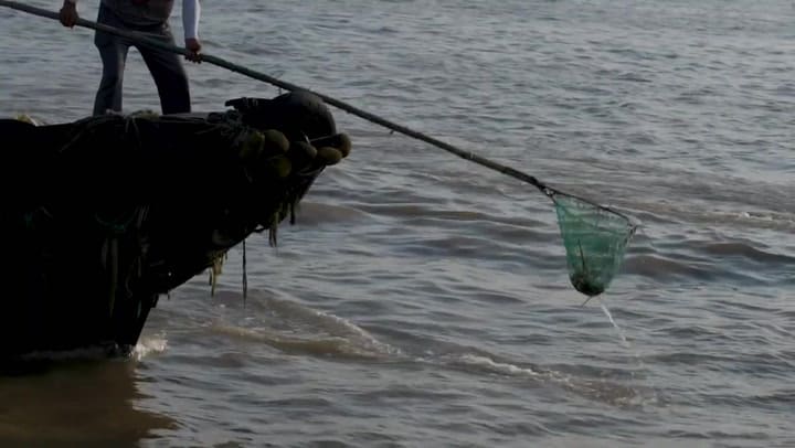Día del Medio Ambiente 2025
