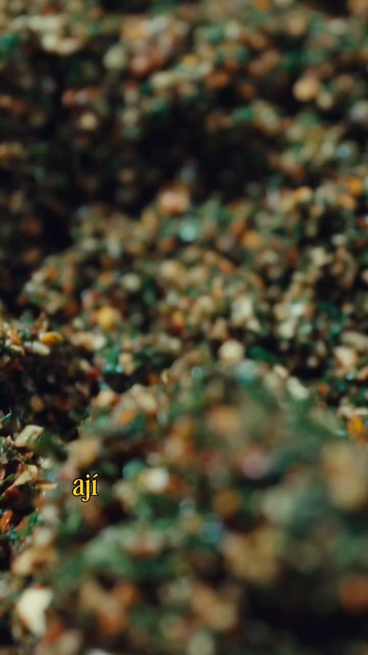 La llegada de los concursantes de Dubái llenos de expectativas