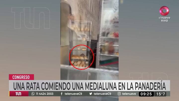 El dueño de la panadería donde apareció la rata da las explicaciones del caso