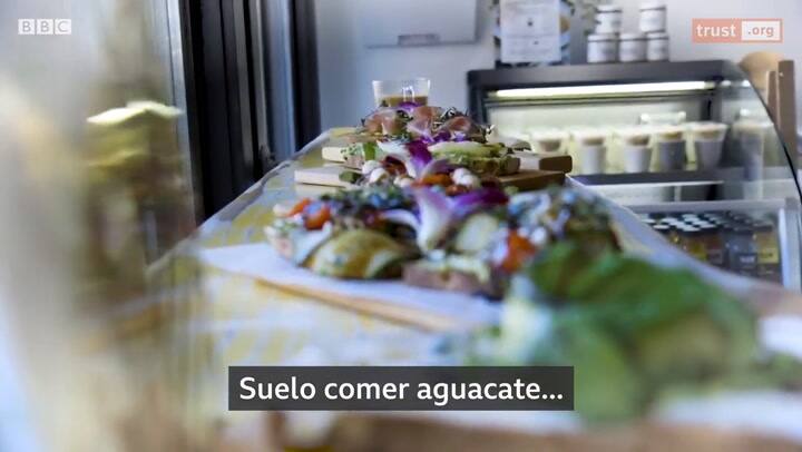 ¿Agua o aguacates? El conflicto por la palta, el “oro verde” de Chile