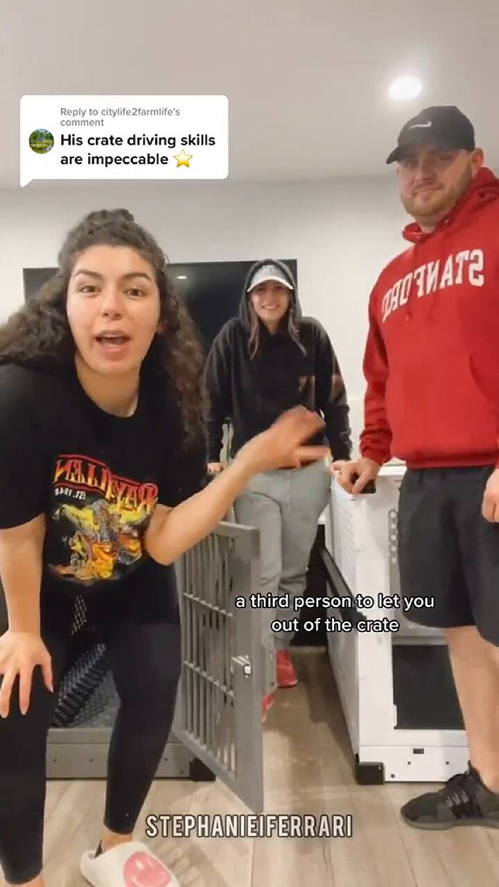 El momento en el que son liberados