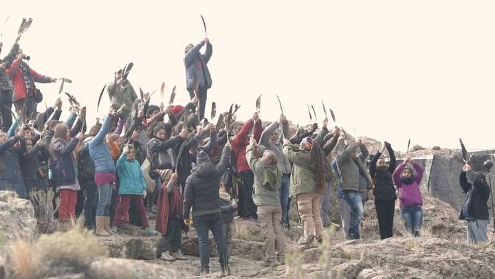 Liberación de cóndores en Río Negro - Crédito: Temaiken