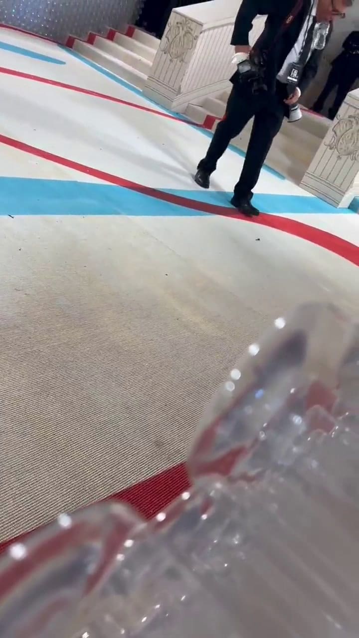 La cucaracha que se volvió viral en la Met Gala