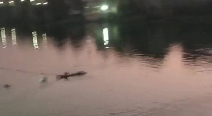 Se cayó un puente colgante en India y dejo decenas de muertos