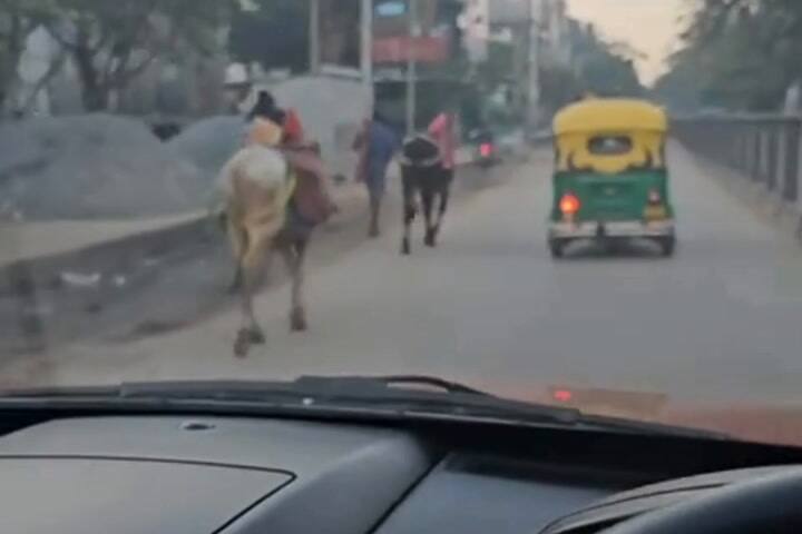 Jorge Pereyra Díaz mostró cómo es el tránsito en la India