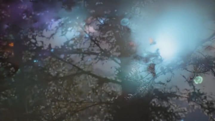 Observó las cenizas de su padre con un microscopio y se llevó una conmovedora sorpresa