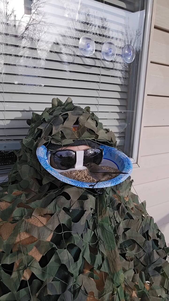 Michelle Lefebvre creó un comedero único para ver de cerca a las aves