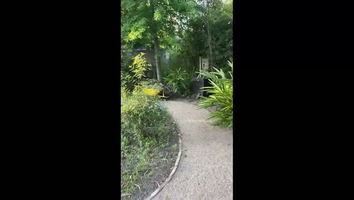 Ernestina Anchorena Tigre