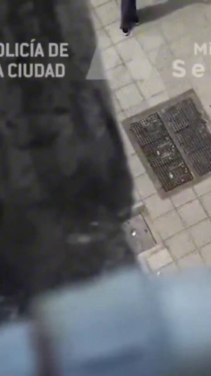 Robó una cadena de oro a una turista en la Catedral y fue detenido