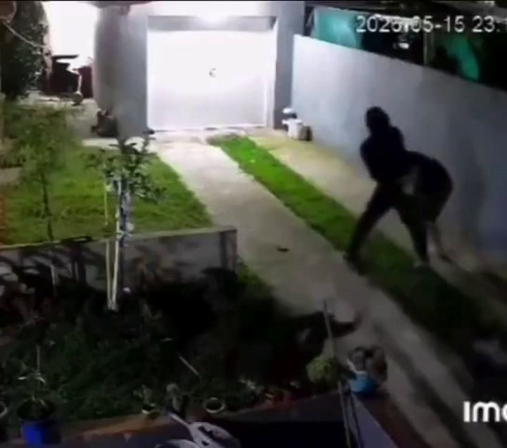 El momento del intento de robo en Santa Clara del Mar