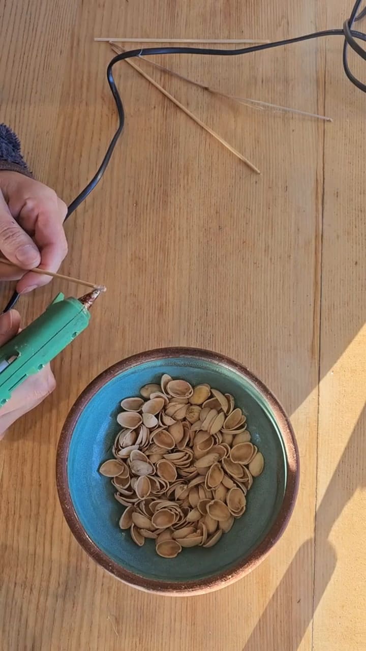 Flores secas de cáscaras de pistacho